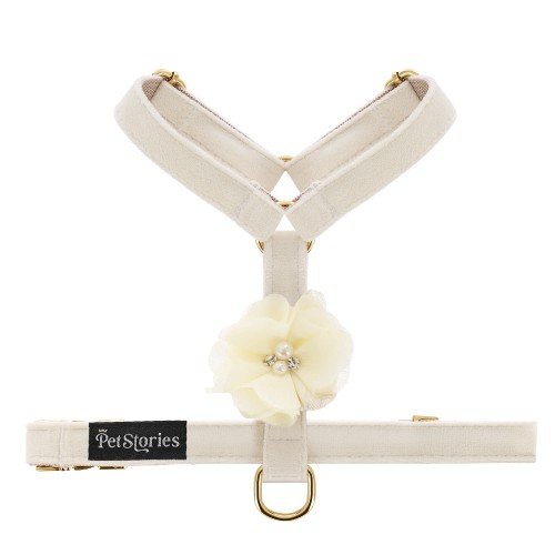 bezuciskowe szelki guard dla psa i kota petstories