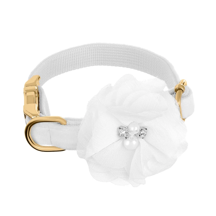 lekka elegancka obroża dla psa petstories celebrations amore white