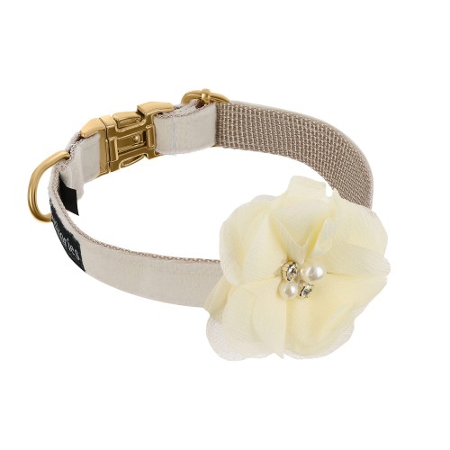 lekka elegancka obroża dla psa i kota petstories celebrations amore ivory