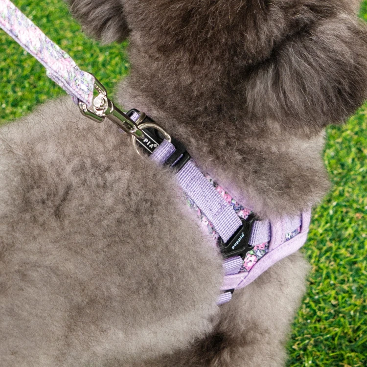 szelki bezuciskowe dla psa puppia kealoha violet