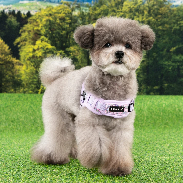 szelki bezuciskowe dla psa puppia kealoha violet