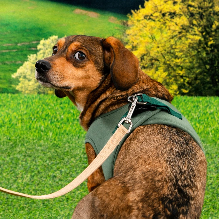 Szelki kamizelka bezuciskowe dla psa Puppia eco khaki