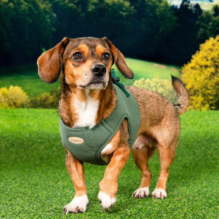 Szelki kamizelka bezuciskowe dla psa Puppia eco khaki