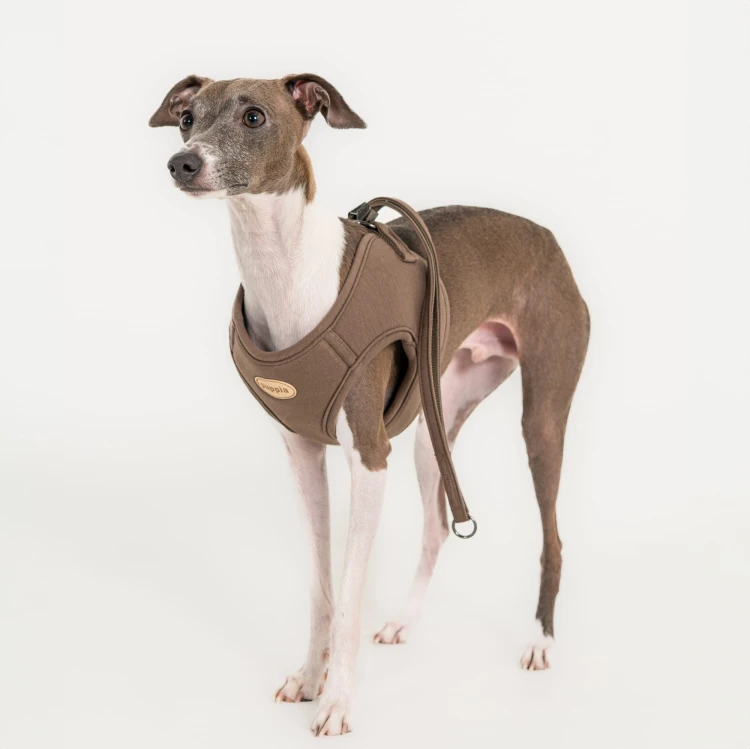 Szelki kamizelka bezuciskowe dla psa Puppia eco brown