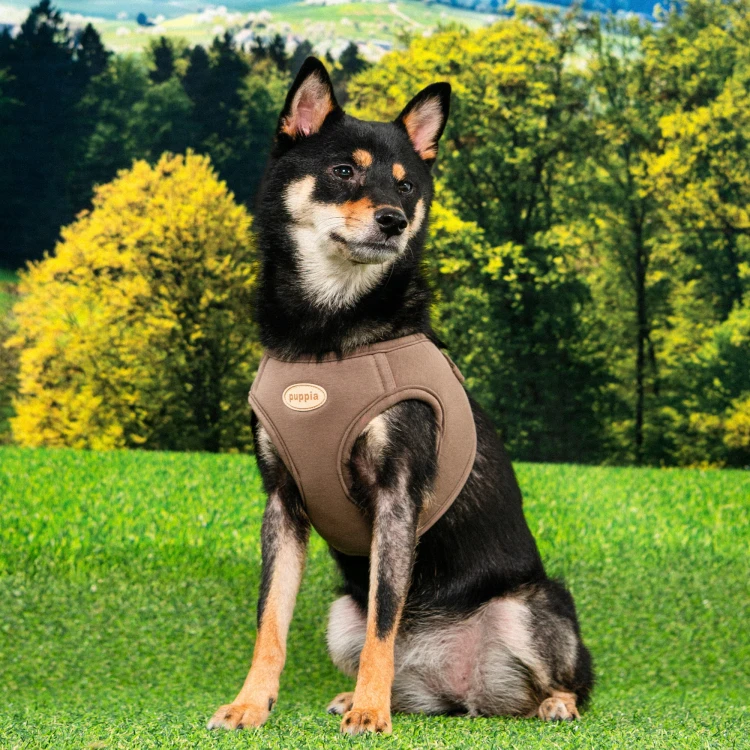 Szelki kamizelka bezuciskowe dla psa Puppia eco brown