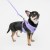 Bezuciskowe szelki dla psa Puppia Soft Violet fioletowe