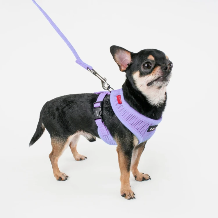 Bezuciskowe szelki dla psa Puppia Soft Violet fioletowe