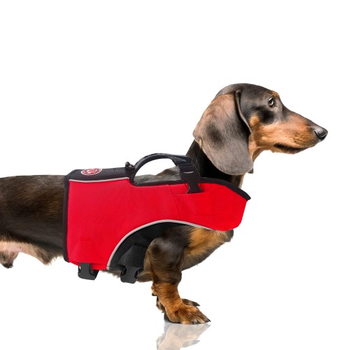 MP2293 - SWIMMER Rouge Dog.jpg