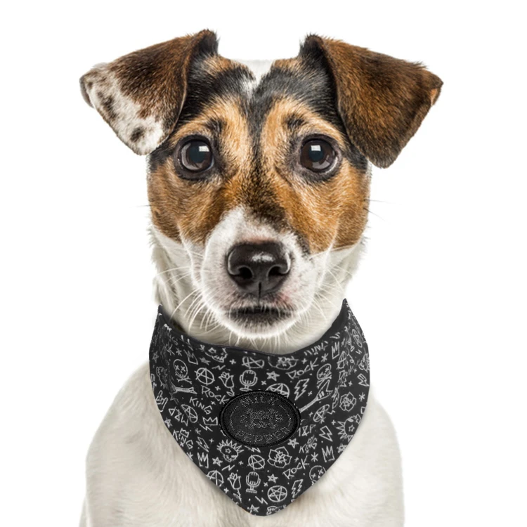 MP1960 SCOTT Noir Dog.jpg