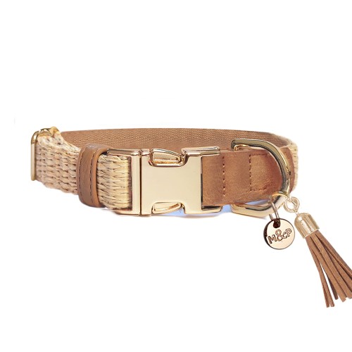 MP4348 - ANISSA Collars.jpg