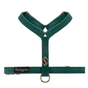Luksusowe regulowane szelki guard dla psa Petstories Green