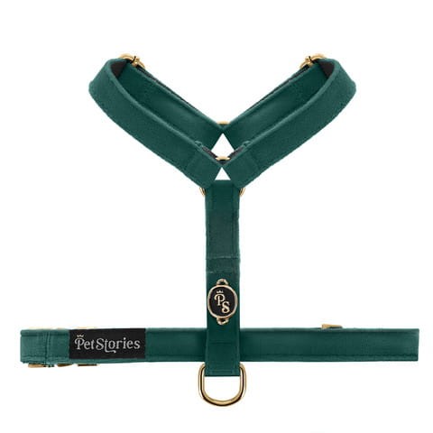bezuciskowe szelki guard dla psa i kota petstories zielone green