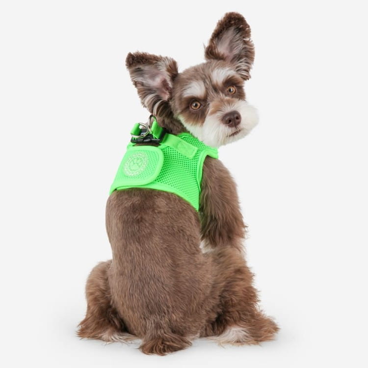 Bezuciskowe szelki kamizelka dla psa i kota puppia soft neon zielone green