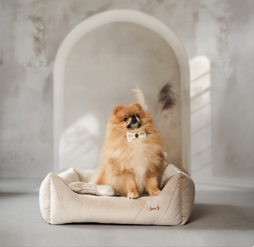 wygodne legowisko dla psa petstories lyon creme