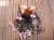 IMG_0354.jpeg