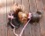 IMG_0381.jpeg