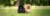 image00024.jpeg