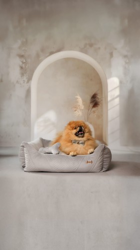 wygodne legowisko dla psa petstories lyon grey