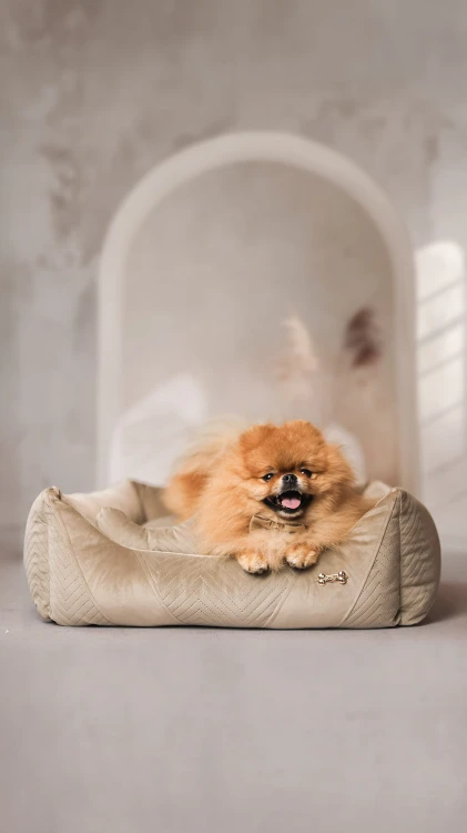 wygodne legowisko dla psa petstories lyon beige