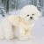 th7872_ye_d_3-600x600.jpg