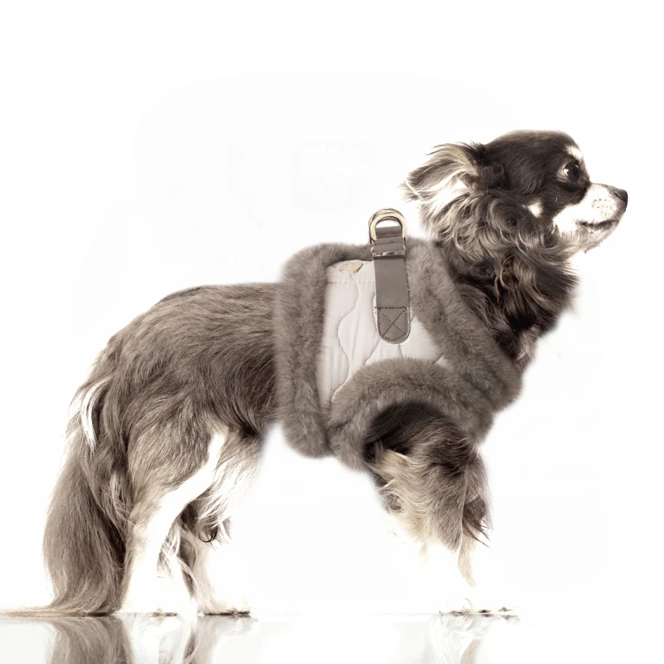 MP2333 - ENOLA Dog.jpg