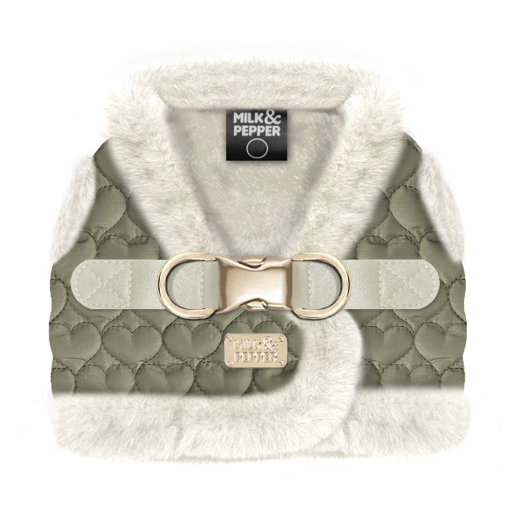 MP2331 - CLARICE.jpg