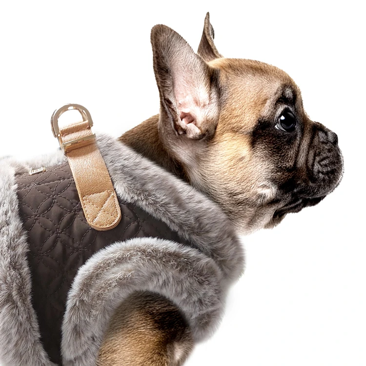 MP2334 - MERYL Dog 2.jpg
