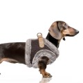 MP2334 - MERYL Dog.jpg