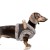 MP2334 - MERYL Dog.jpg
