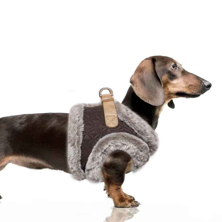 MP2334 - MERYL Dog.jpg