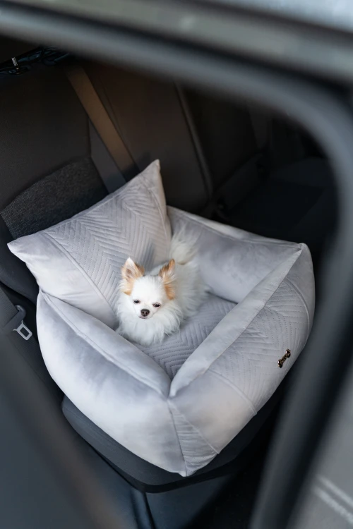 PET BUTIK GREEN-16.jpg