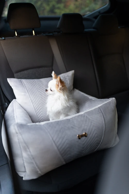 PET BUTIK GREEN-15.jpg
