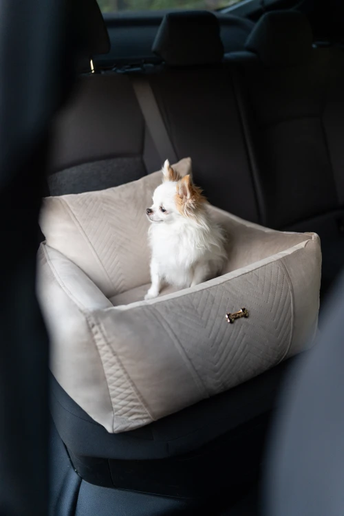 PET BUTIK GREEN-18.jpg
