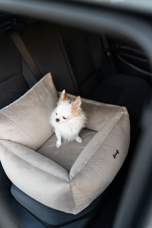 PET BUTIK GREEN-17.jpg