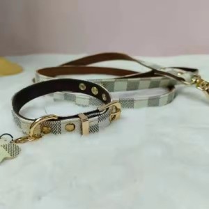 Zestaw obroża +smycz dla psa Beige Checker 