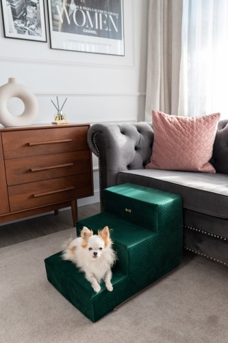 Schodki dla psa Lyon Green Zielone Petstories