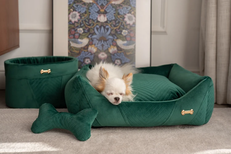 Luksusowe wygodne legowisko i zabawka dla psa Petstories Lyon Green Zielone
