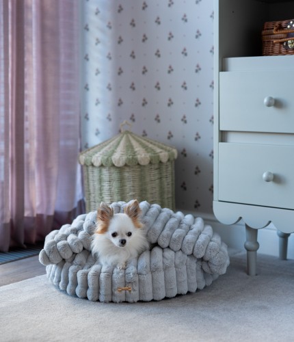 PET Butik mini-2.jpg