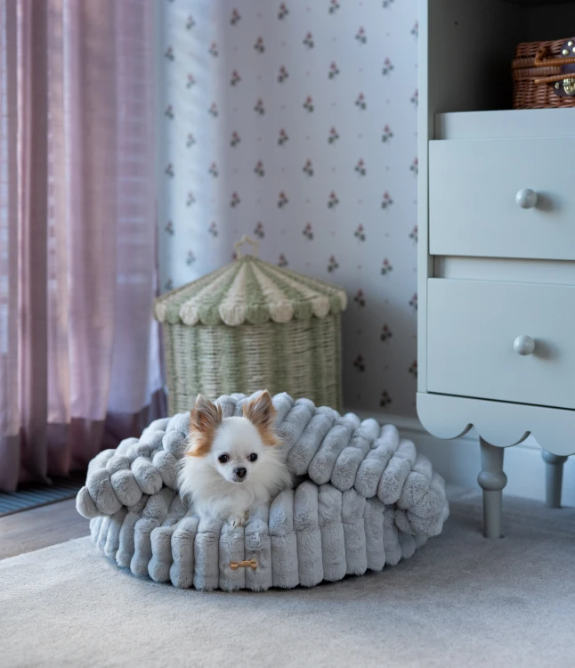 PET Butik mini-2.jpg