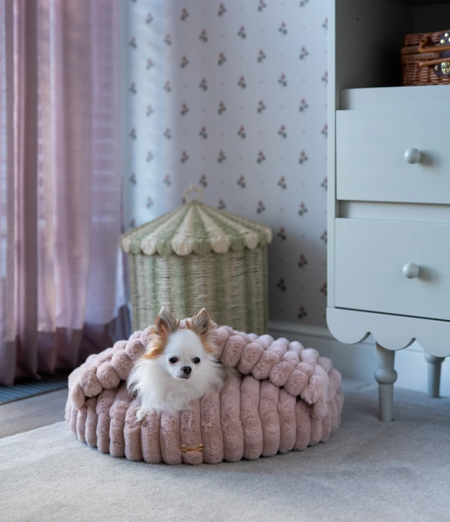 PET Butik mini.jpg