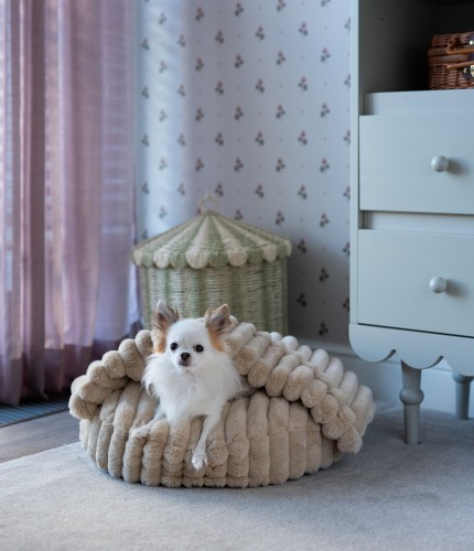 PET Butik mini-3.jpg