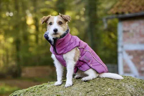 WOLTERS_Winterjacke_Amundsen_himbeer_005.webp