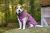 WOLTERS_Winterjacke_Amundsen_himbeer_005.webp