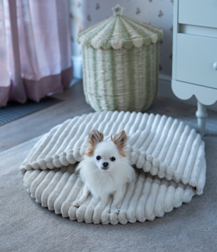 PET Butik mini-7.jpg