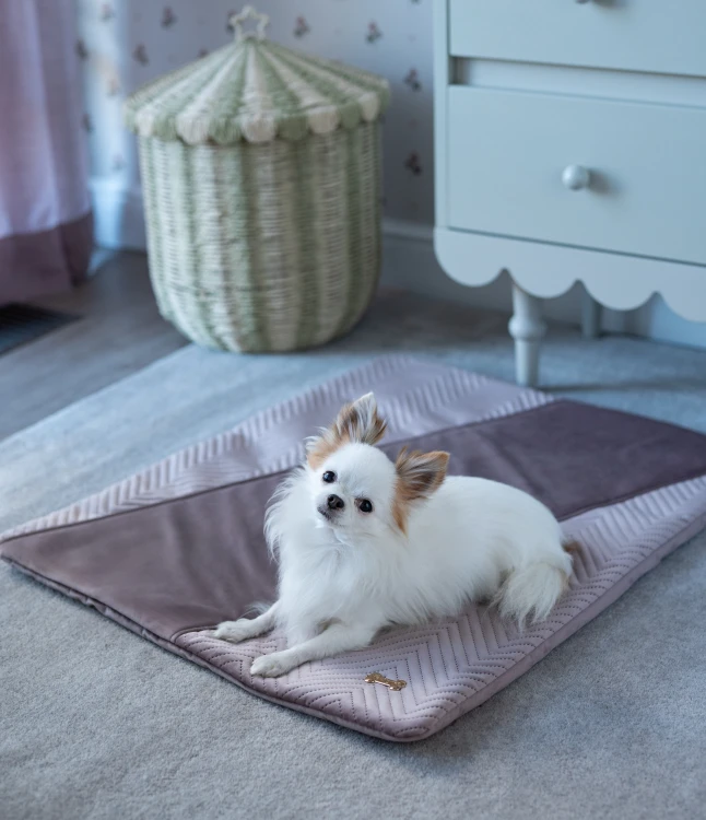 Mata dla psa Petstories Lyon różowa.jpg