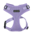 ac617_vi_1.png