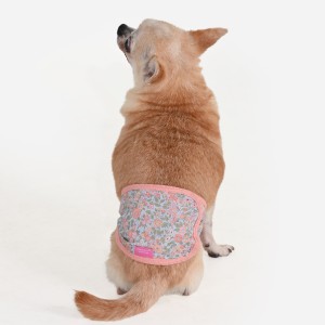 Pas przeciwko znaczeniu terenu PINKAHOLIC Blossomy Pink