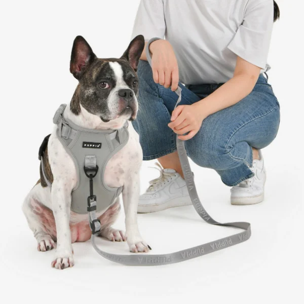 jarek-harness-h (4).webp
