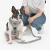 jarek-harness-h (4).webp