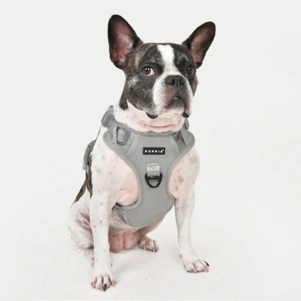 jarek-harness-h (3).webp